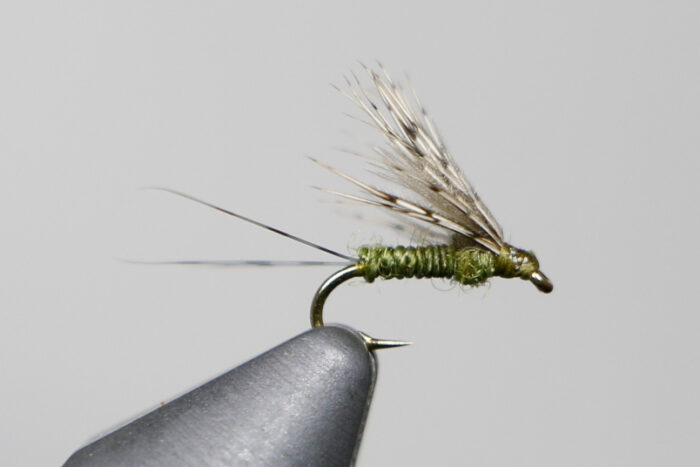 schmidt's drymerger bwo