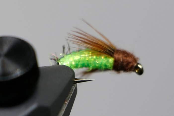 Silverman's Caddis Larva - Image 2