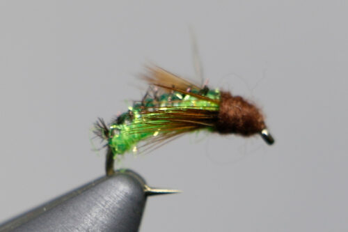 Silverman's Caddis Larva