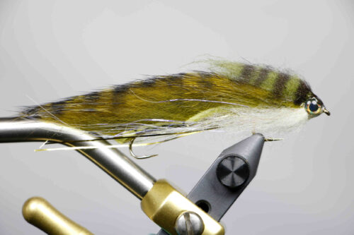 snake bait olive