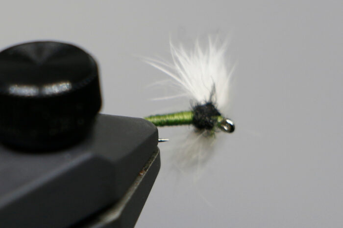 Snowshoe Trico - Image 2