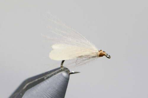 Stockingfoot Caddis