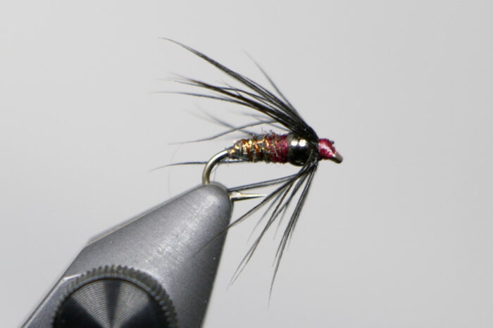 Thorax Bead Soft Hackle