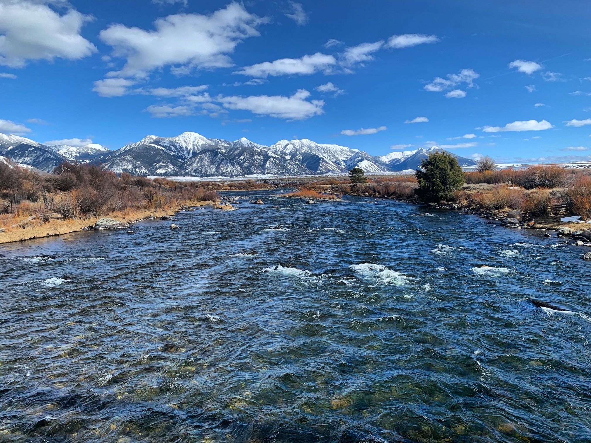 madison river fishing report 4-15-2024