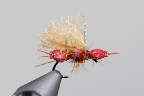 NEW & Back in Stock Flies