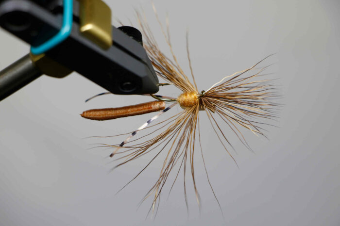 Craven's Mr. Jones - Image 2