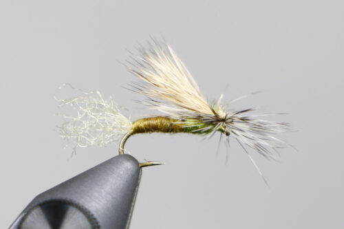 cutters ec caddis