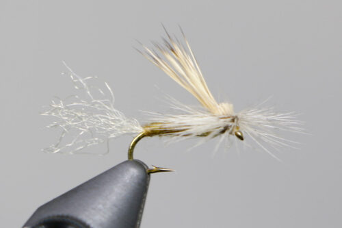 NEW & Back in Stock Flies