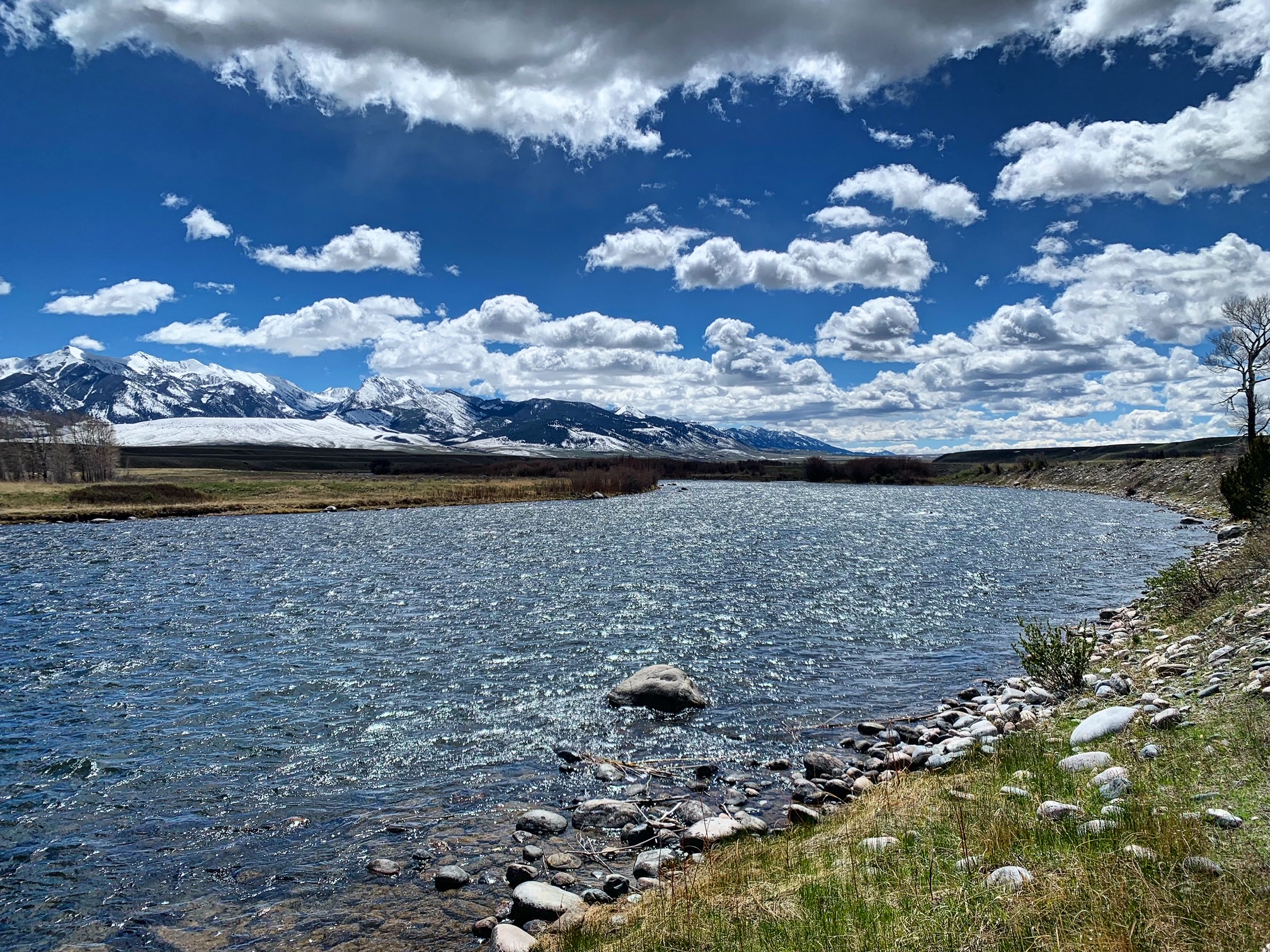 madison river fishing report 5-8-2024