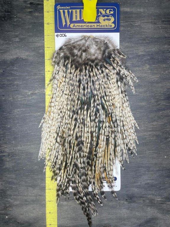 whiting bantam rooster set他 WHITING】 Bantam Rooster Set Grizzly - DOLLYVARDEN FLY