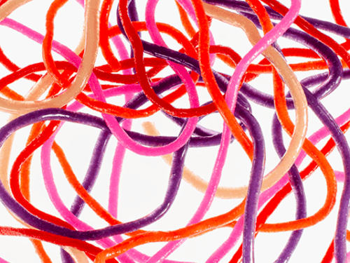 trinas squirm material