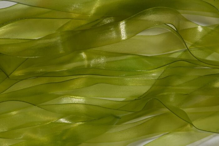Fulling Mill Scud Skin - Image 2