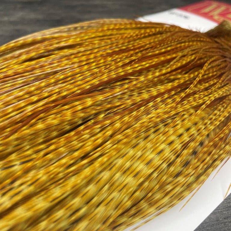 Whiting Hackle Breakdown: Dry Fly Colors and Phases