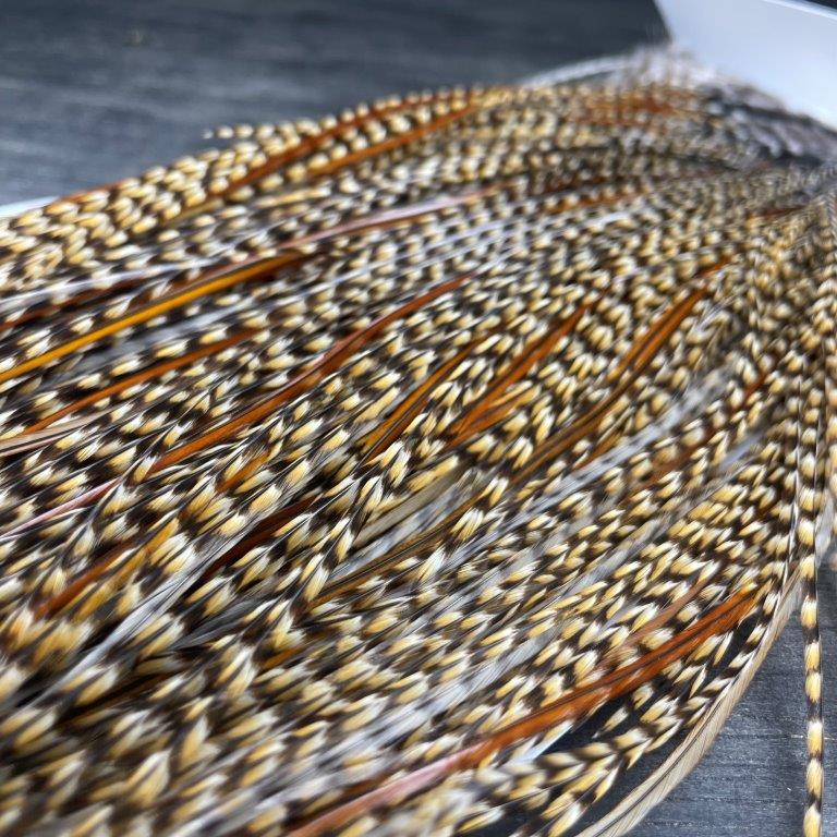 Whiting Hackle Breakdown: Dry Fly Colors and Phases