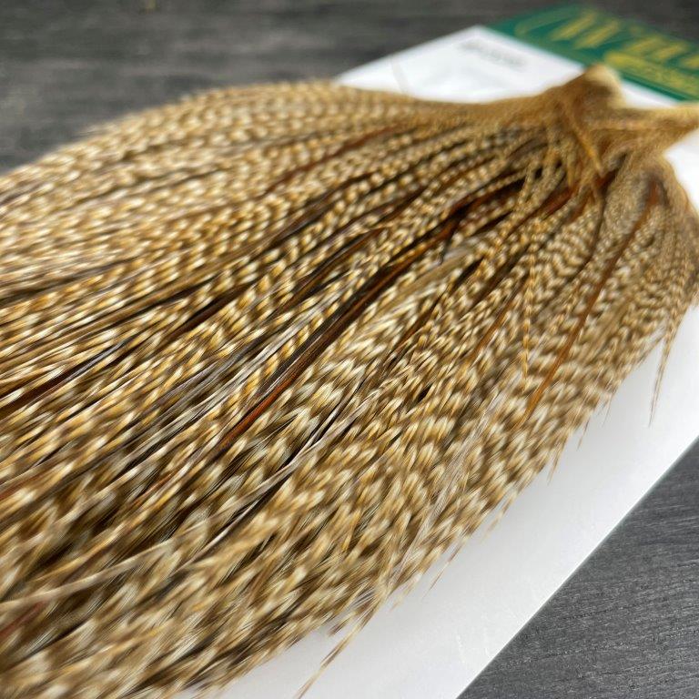 Whiting Hackle Breakdown: Dry Fly Colors and Phases
