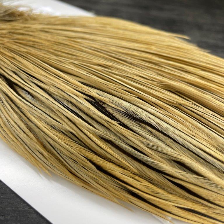 Whiting Hackle Breakdown: Dry Fly Colors and Phases