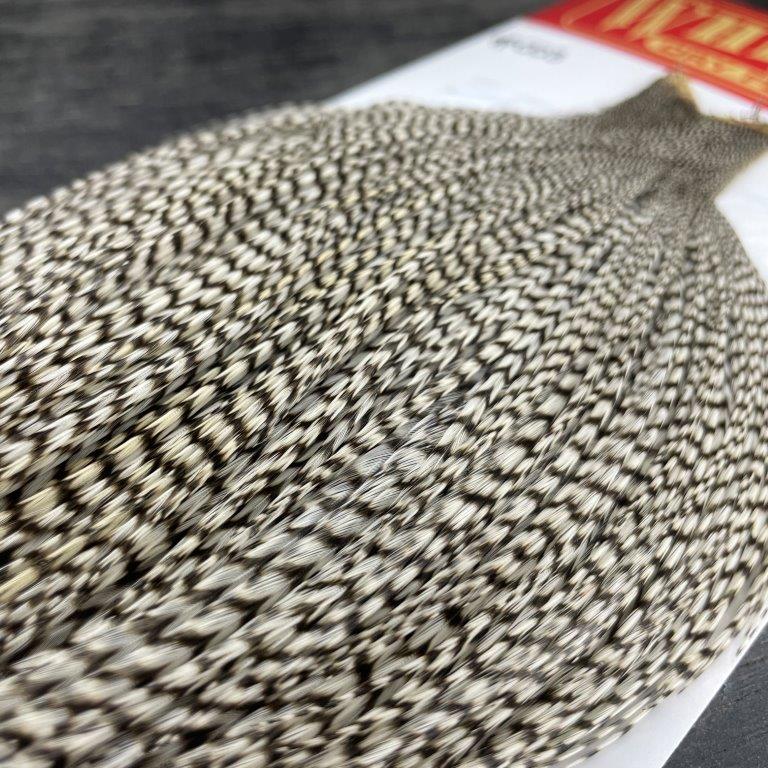 Whiting Hackle Breakdown: Dry Fly Colors and Phases