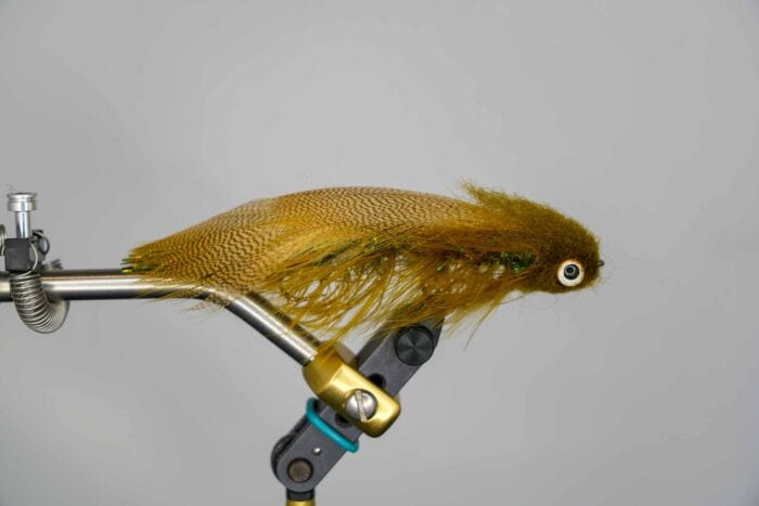 galloup's boogie man olive