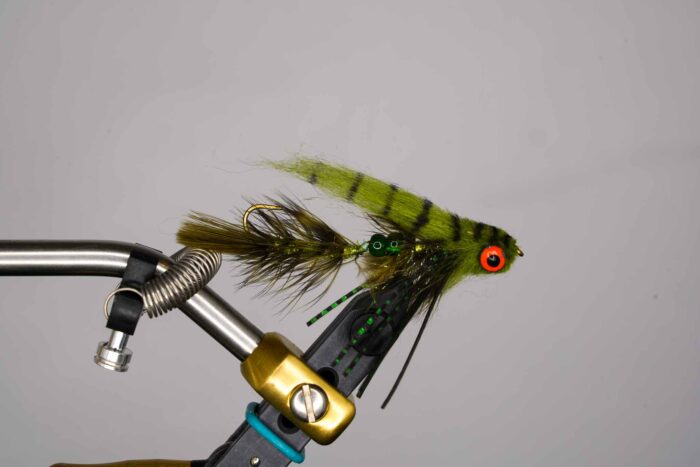 craven's baby gonga olive