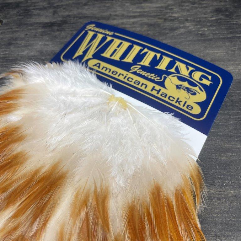 Whiting Hackle Breakdown: American Rooster