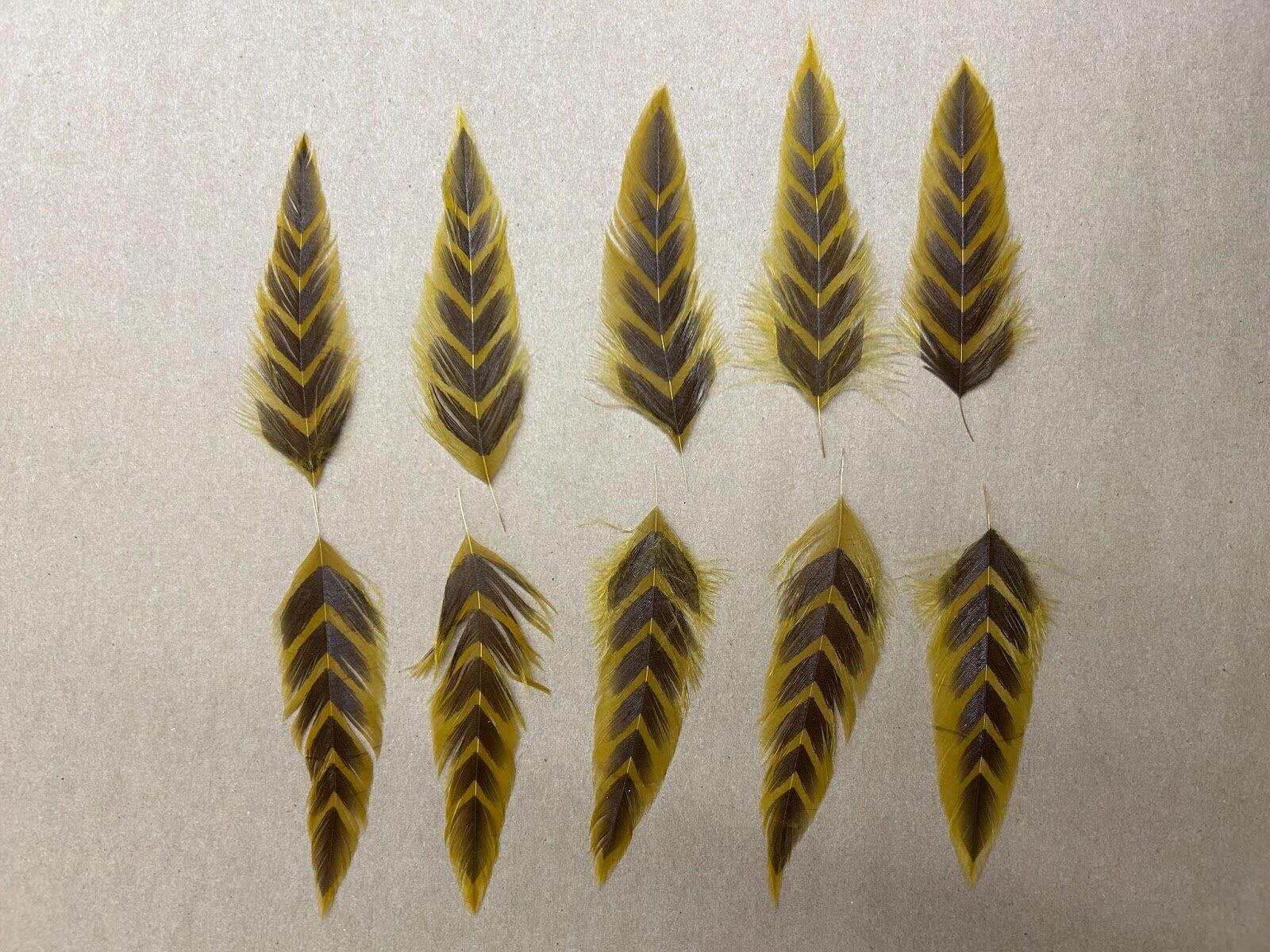 Selecting Hackle for Deceiver Tails: Galloup's Fish Feathers
