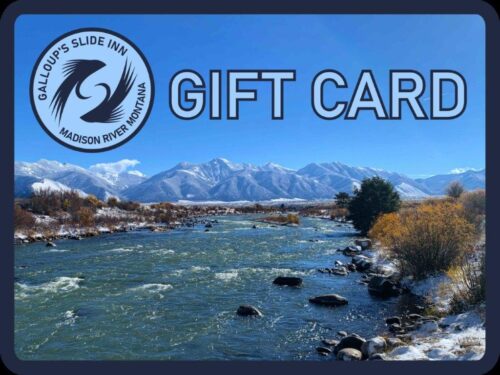 Slide Inn Gift Card