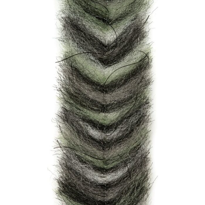 ep crustaceous brush mullet