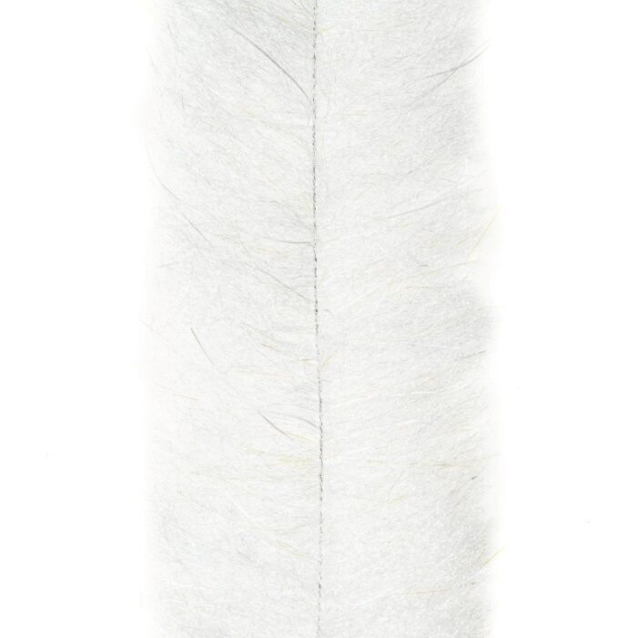 ep crustaceous brush white