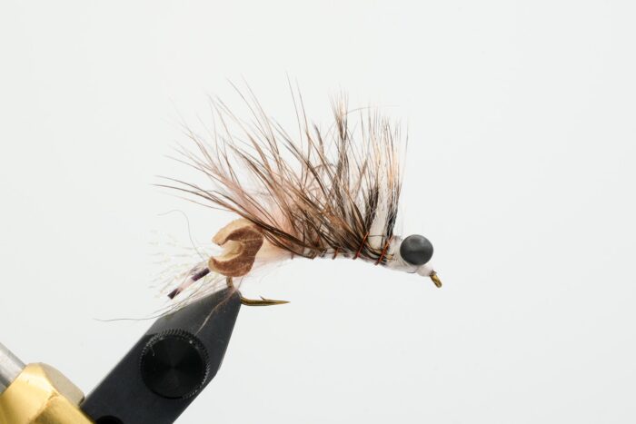 Ritt's Fighting Crawfish - Image 4