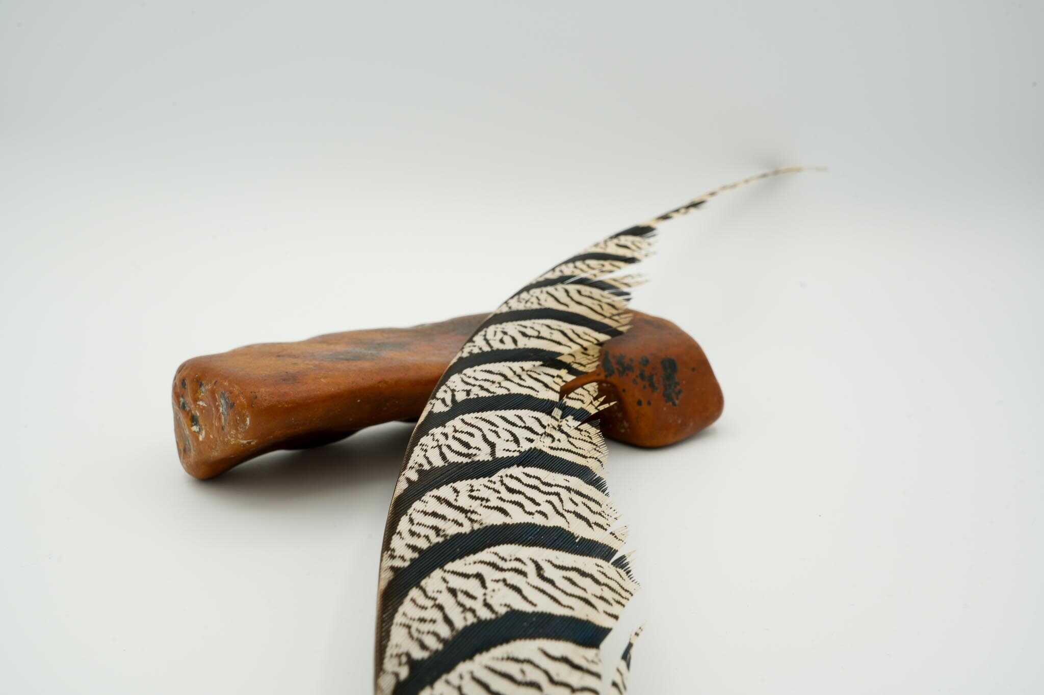 Lady Amherst Half Center Tail - Image 6