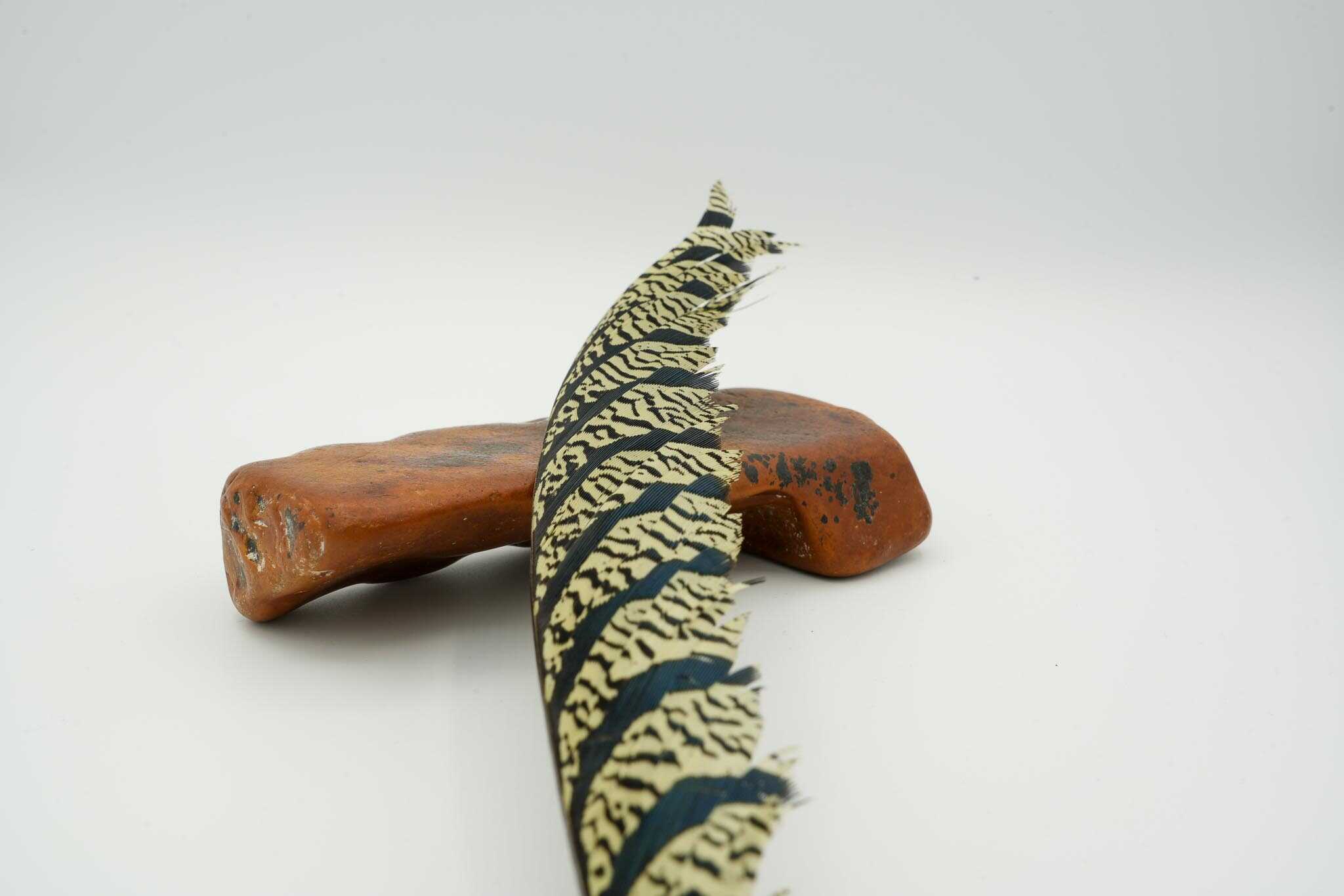 Lady Amherst Half Center Tail - Image 7