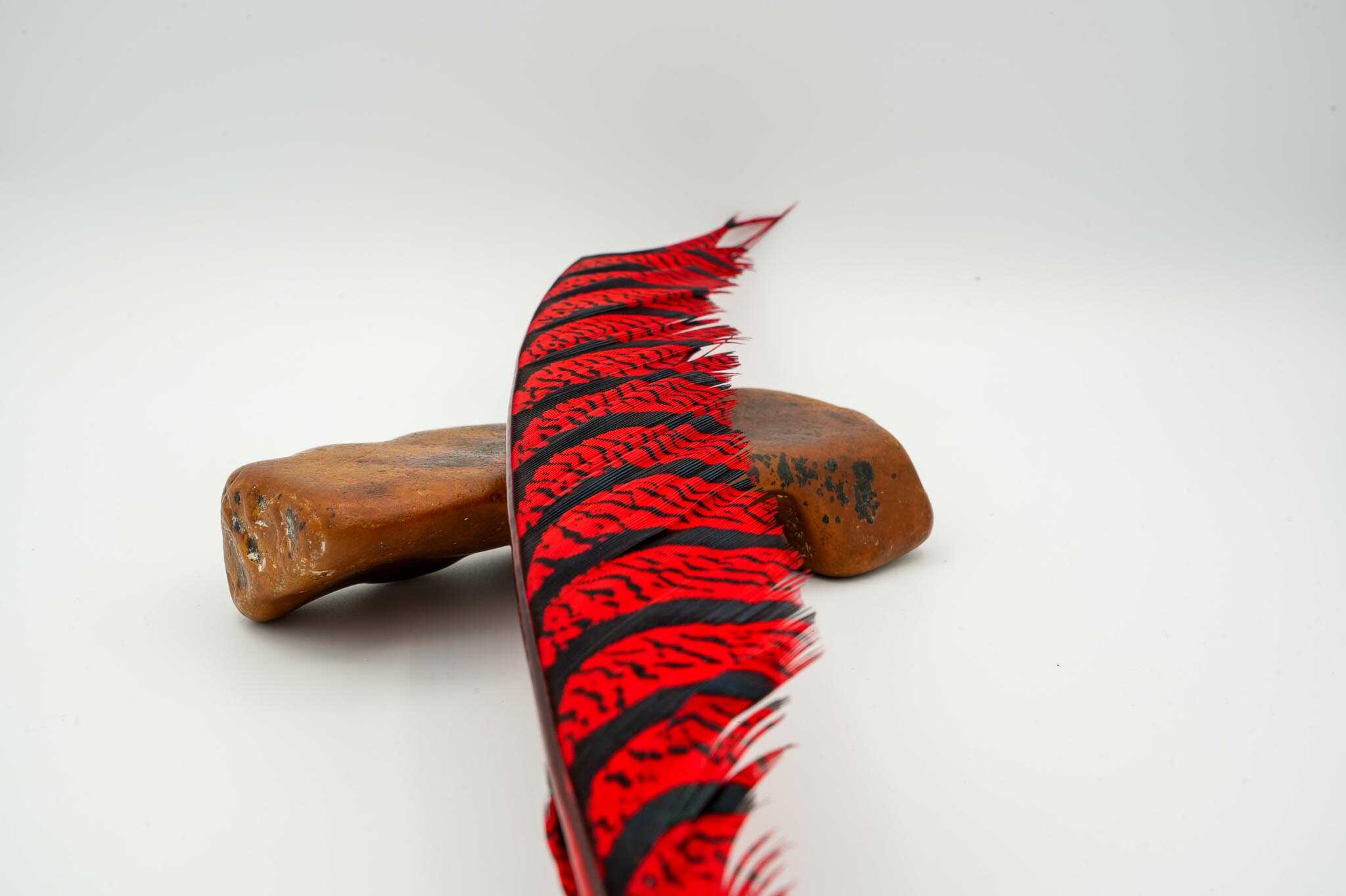 Lady Amherst Half Center Tail - Image 8