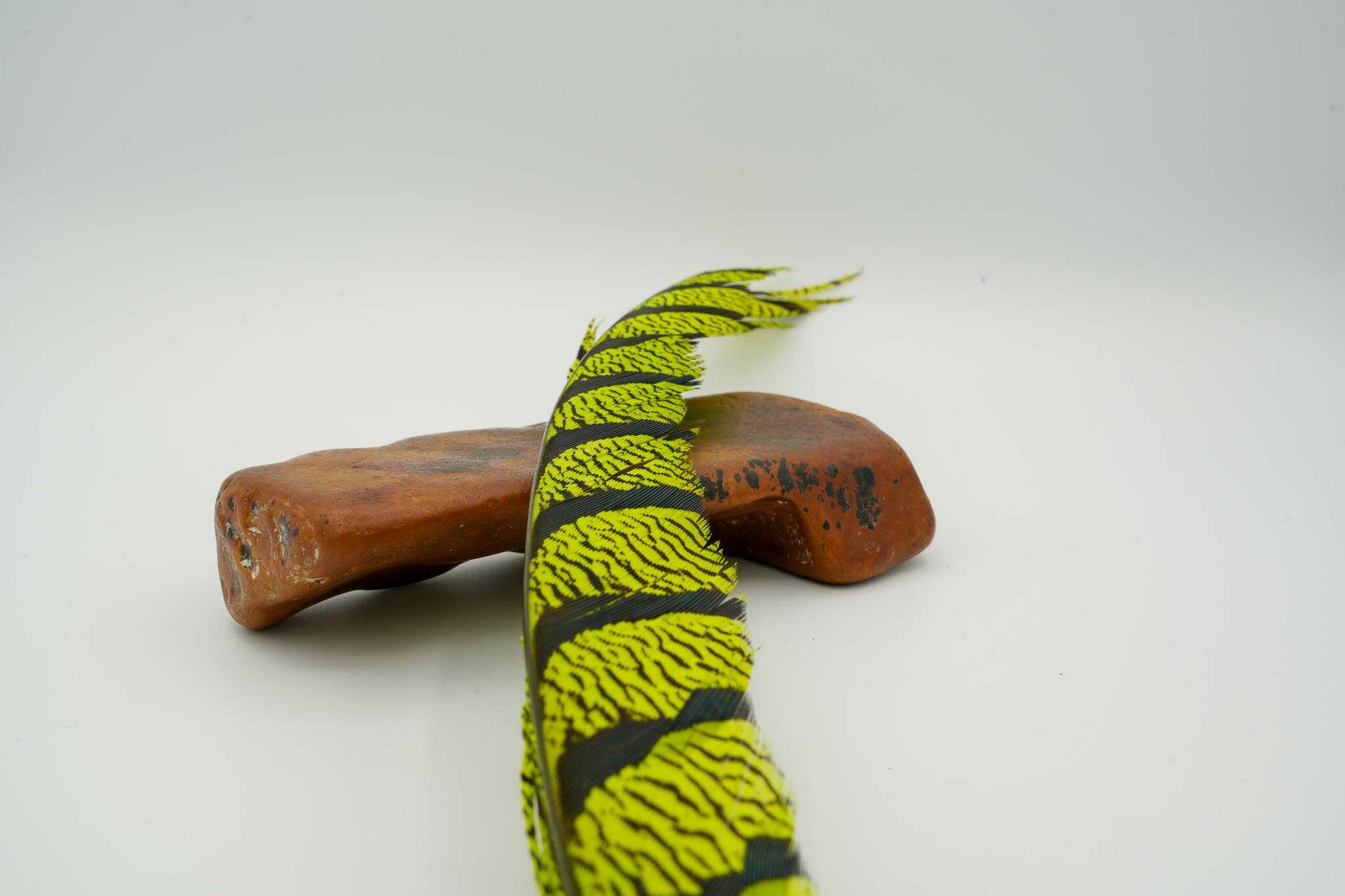 Lady Amherst Half Center Tail - Image 3