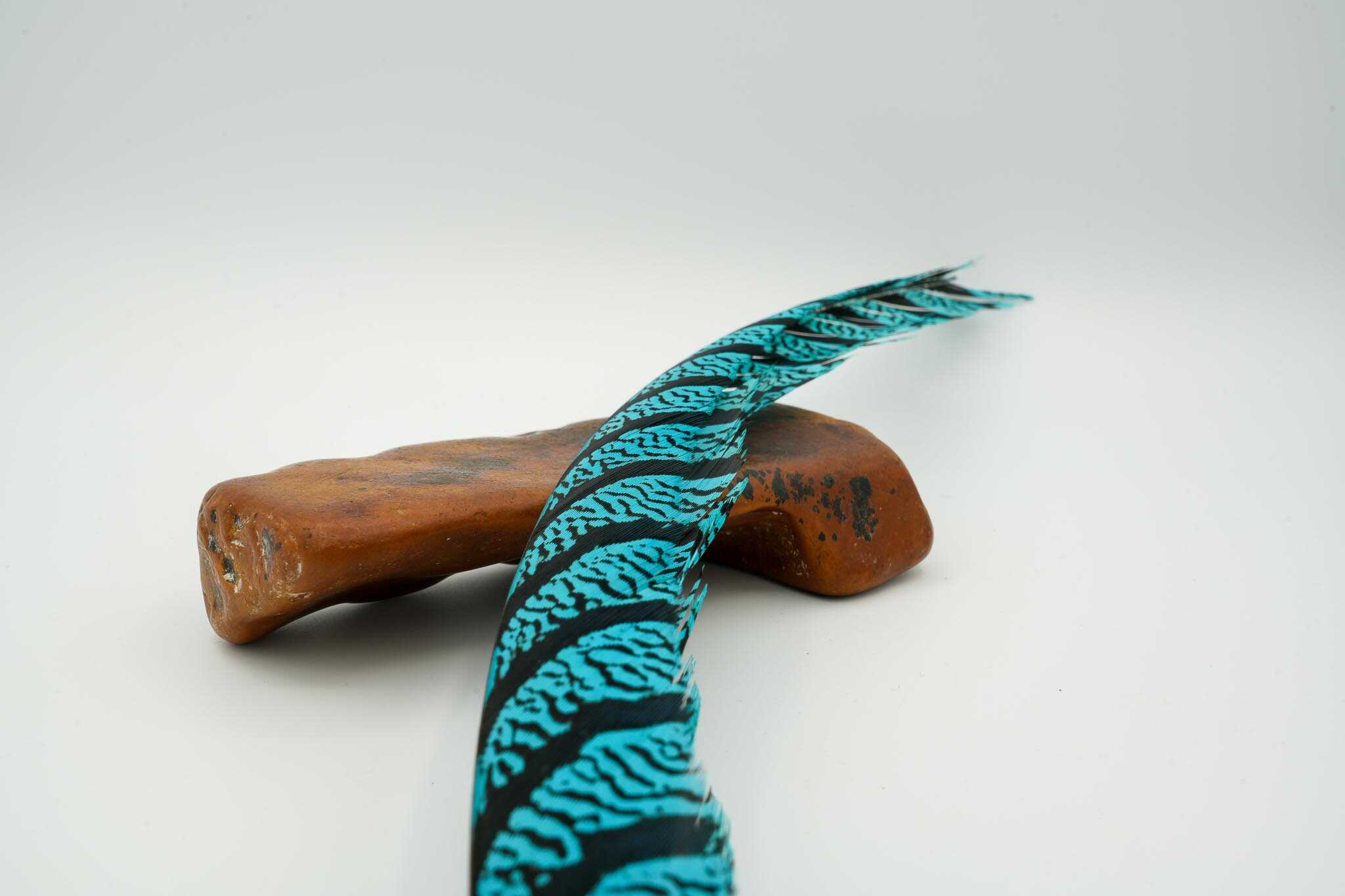 Lady Amherst Half Center Tail - Image 4