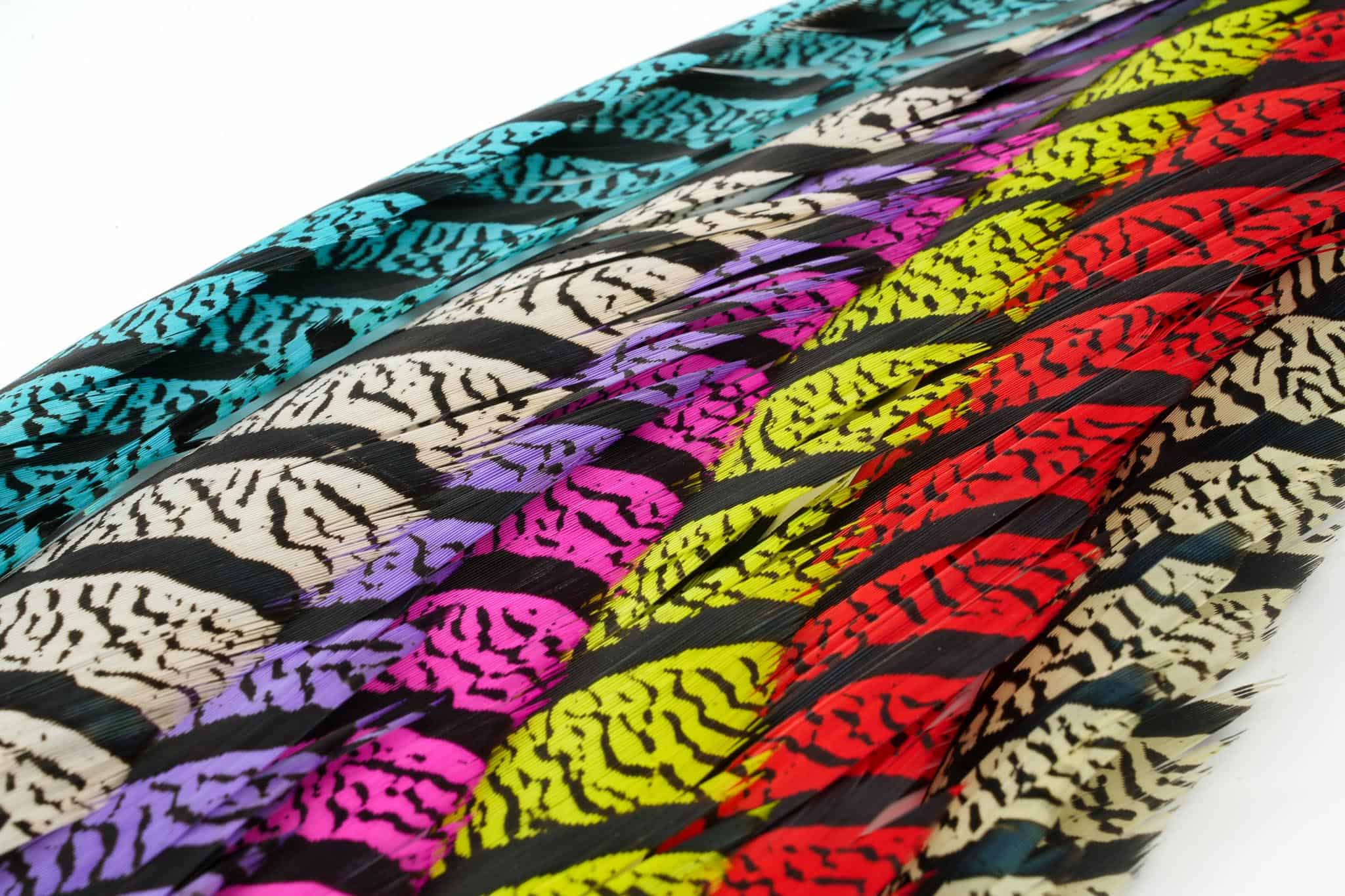 Lady Amherst Half Center Tail