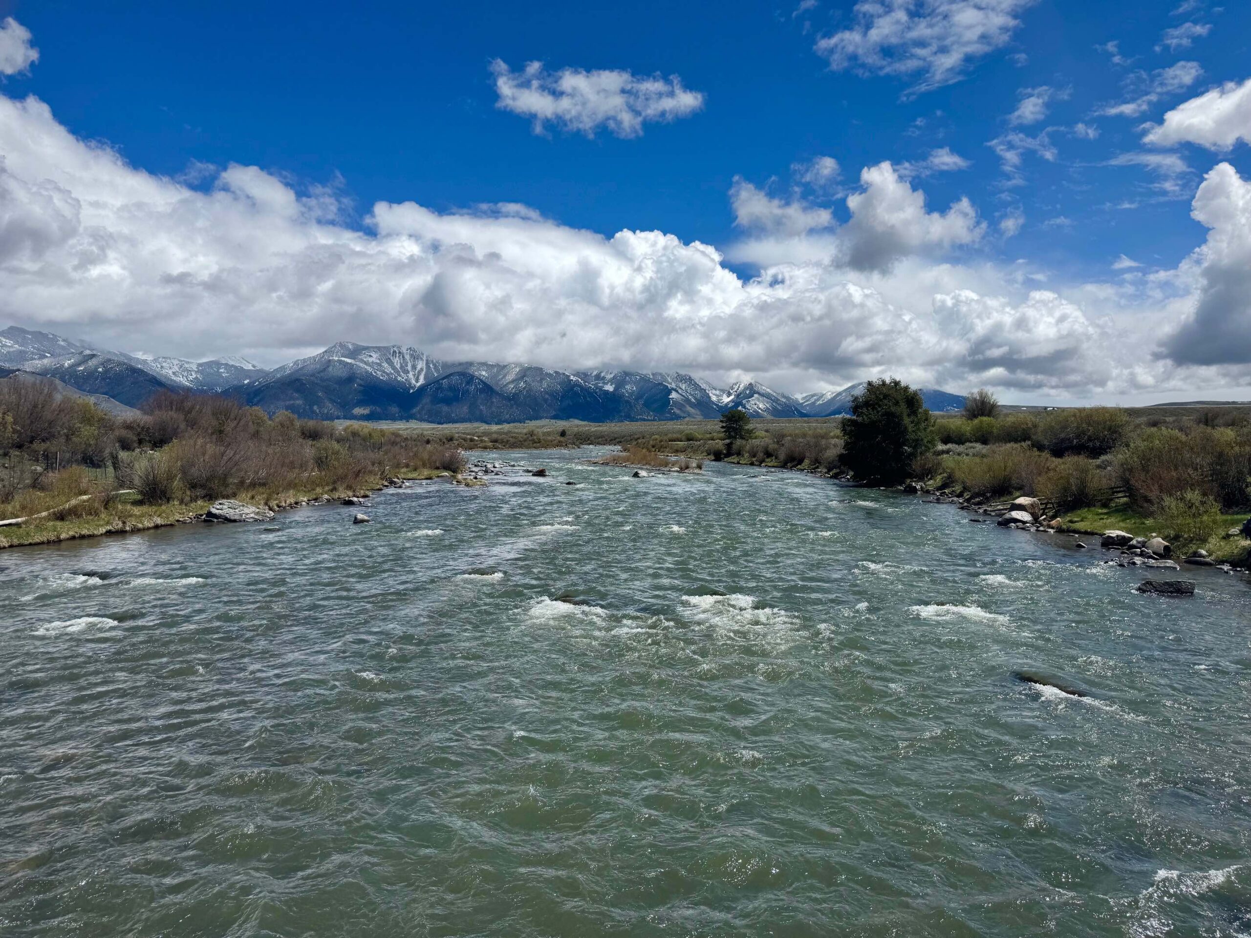 Madison river fishing report 5-23-2025