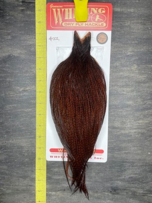 Whiting Dry Fly Cape – Bronze Grade – Grizzly dyed Coachman Brown #002