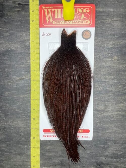 Whiting Dry Fly Cape – Bronze Grade – Grizzly dyed Coachman Brown #004