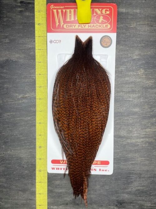 Whiting Dry Fly Cape – Bronze Grade – Grizzly dyed Coachman Brown #007