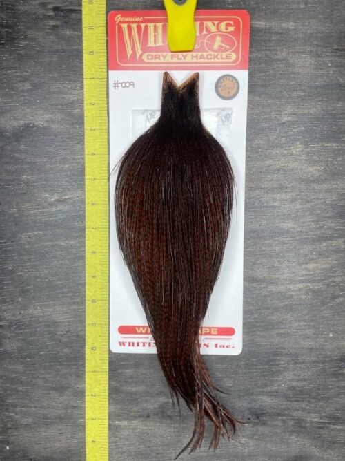 Whiting Dry Fly Cape – Bronze Grade – Grizzly dyed Coachman Brown #009