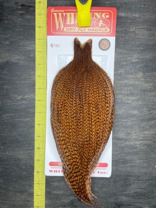 Whiting Dry Fly Cape – Bronze Grade – Grizzly dyed Brown #001