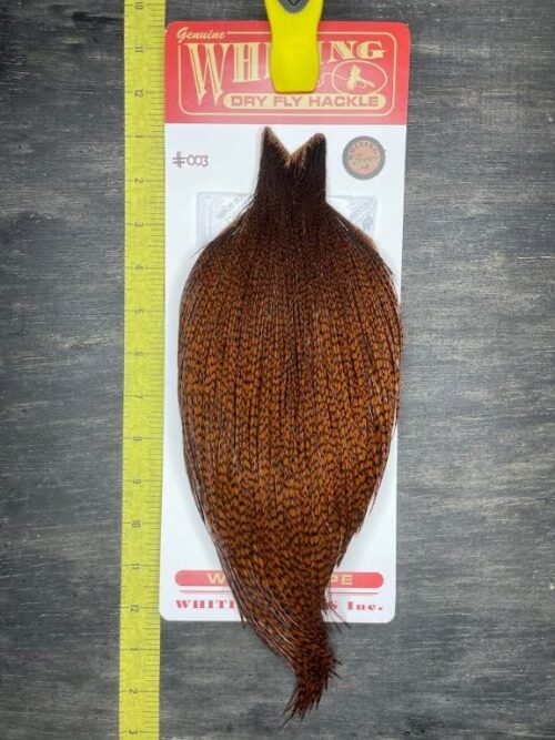 Whiting Dry Fly Cape – Bronze Grade – Grizzly dyed Brown #003