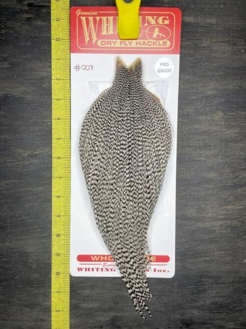 Whiting Dry Fly Cape - Pro - Grizzly #007