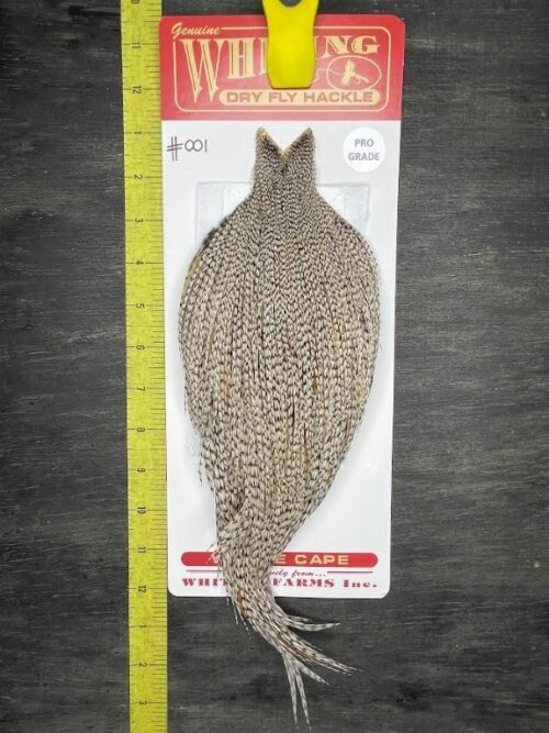 Whiting Dry Fly Cape - Pro - Grizzly Variant #001