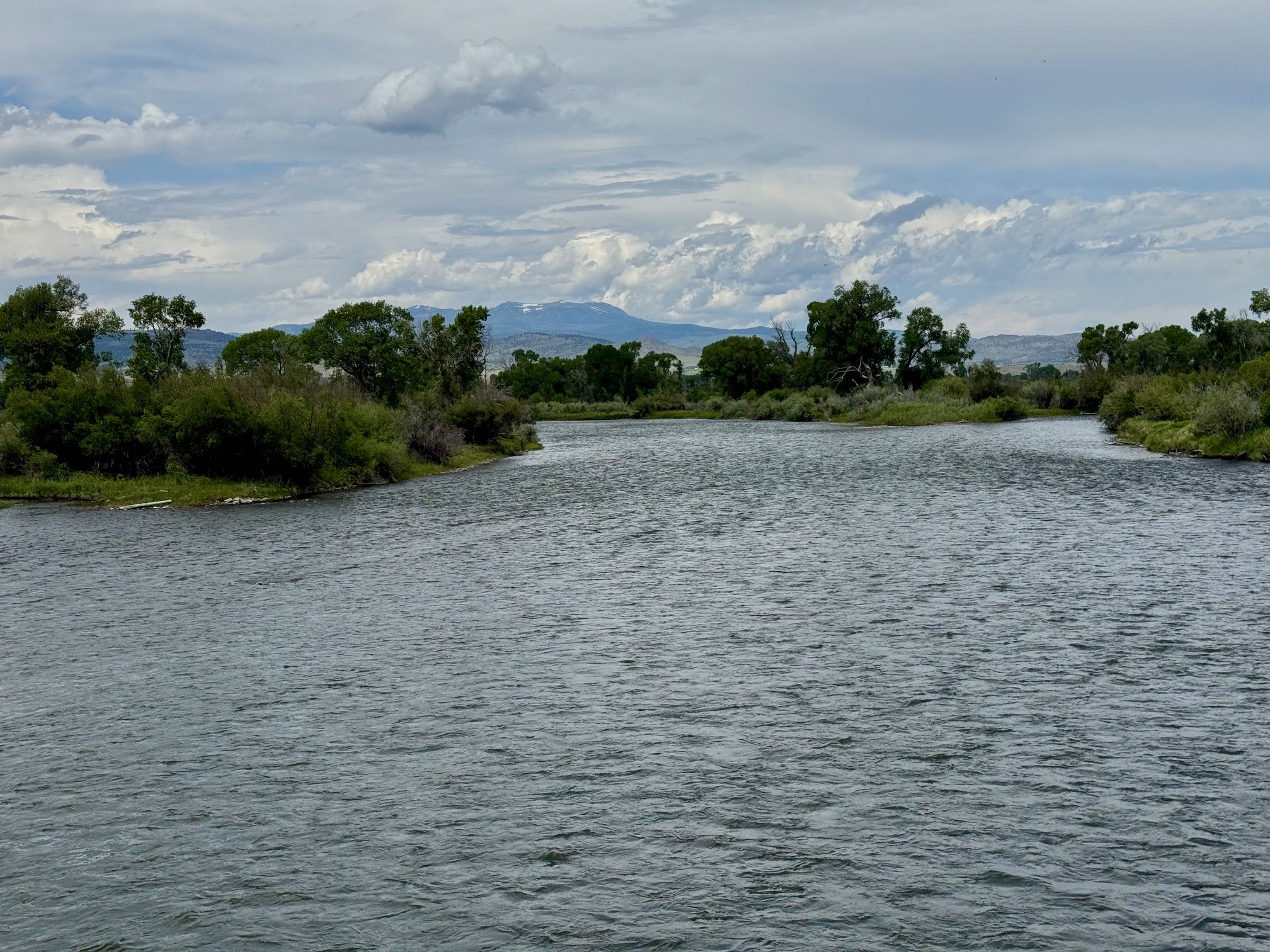 Madison river fishing report 6-16-2025
