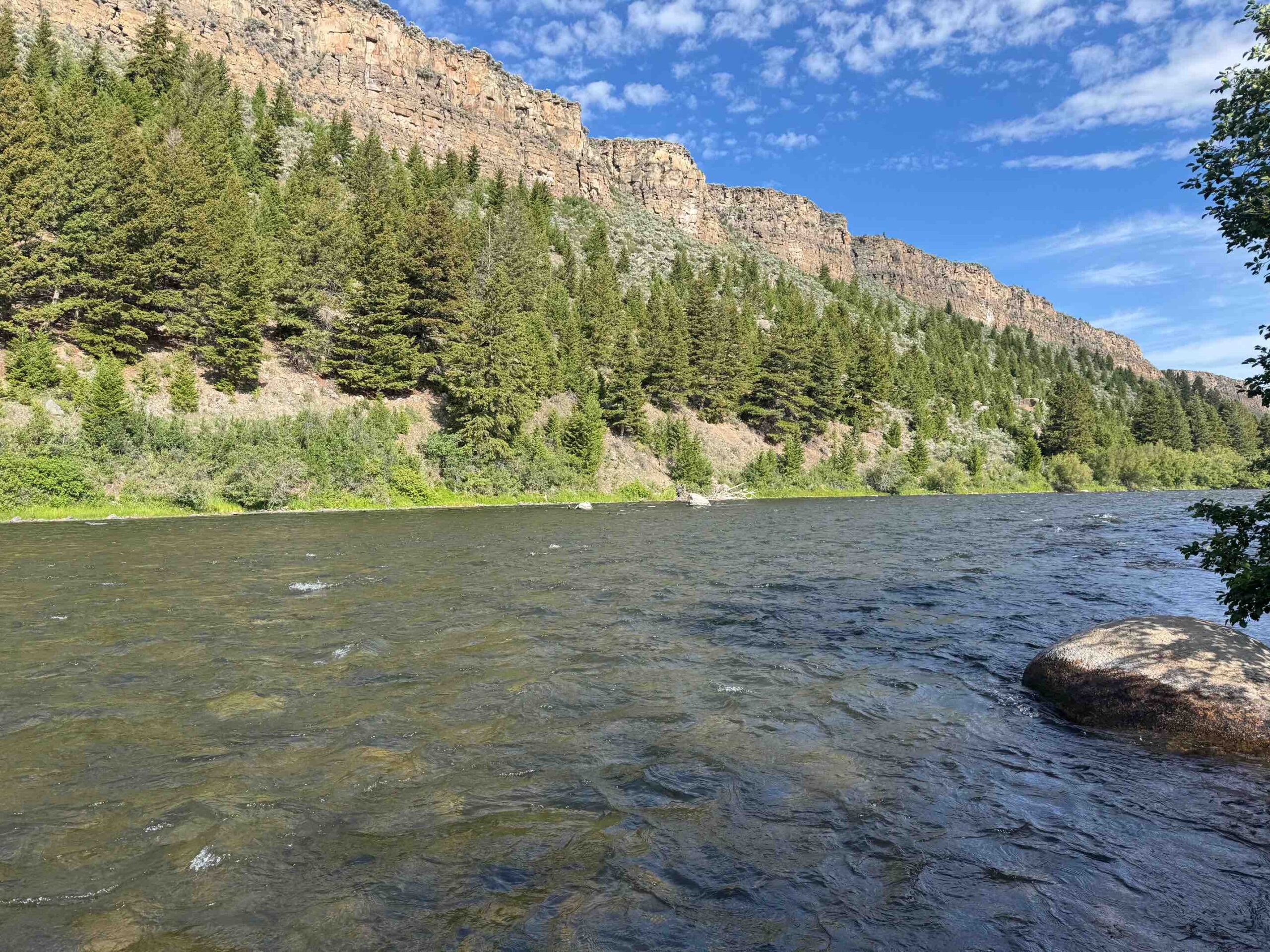 madison river fishing report 06-29-2026