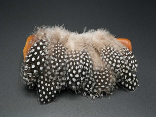 strung guinea fowl for fly tying steelhead intruder patterns