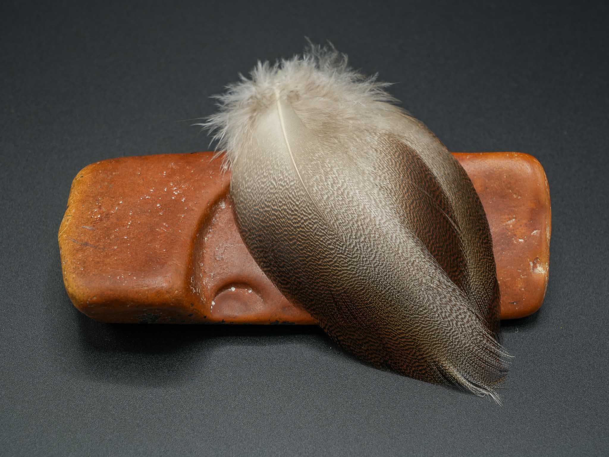 Bronze Mallard - 12 Select Pairs