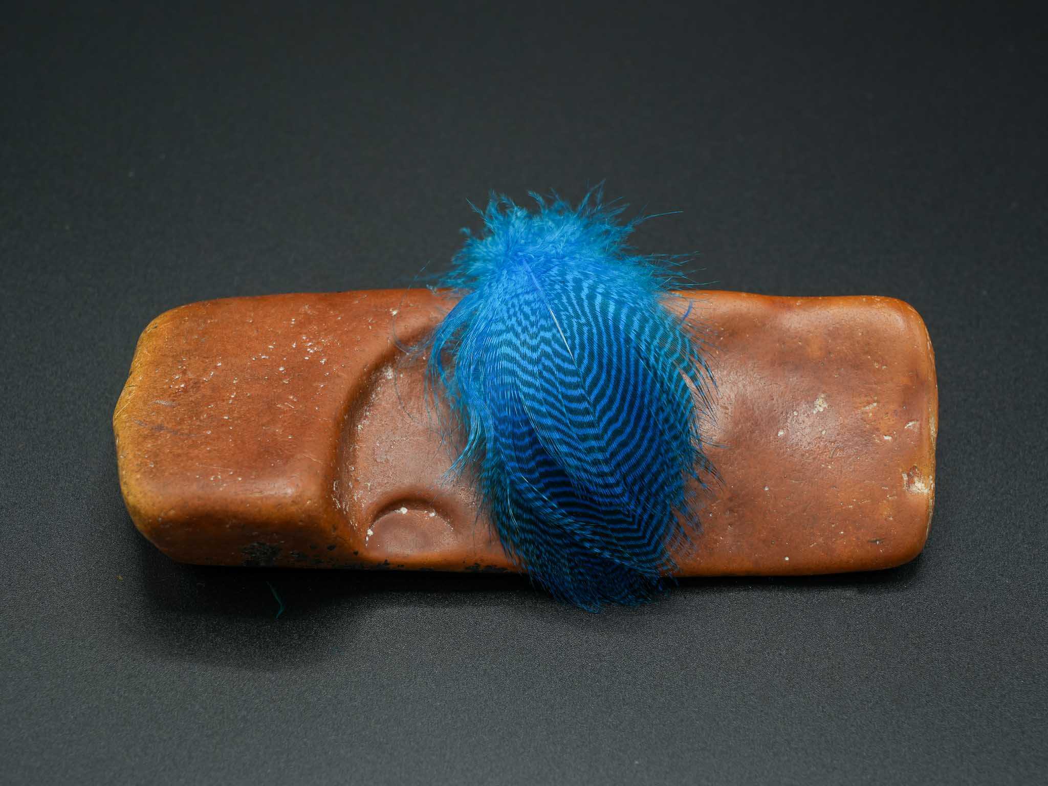 Teal Flank - Image 4