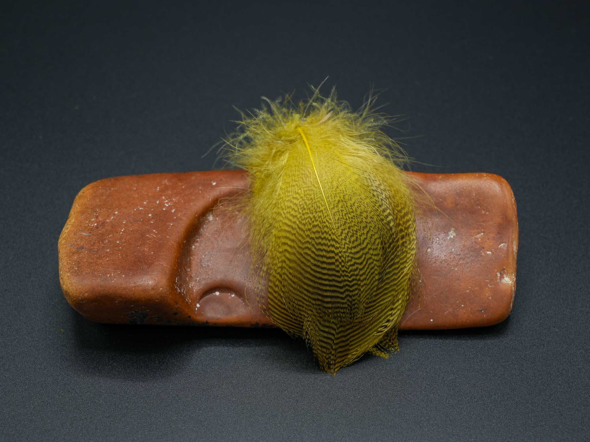 Teal Flank - Image 3